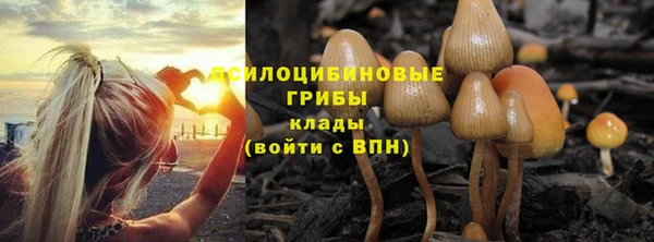 spice Елабуга