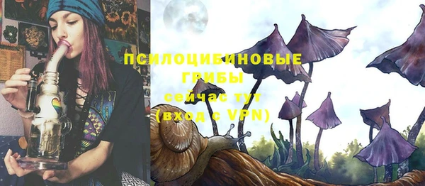 экстази Заволжск