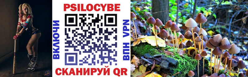 мега Зеленогорск Псилоцибиновые грибы мухоморы