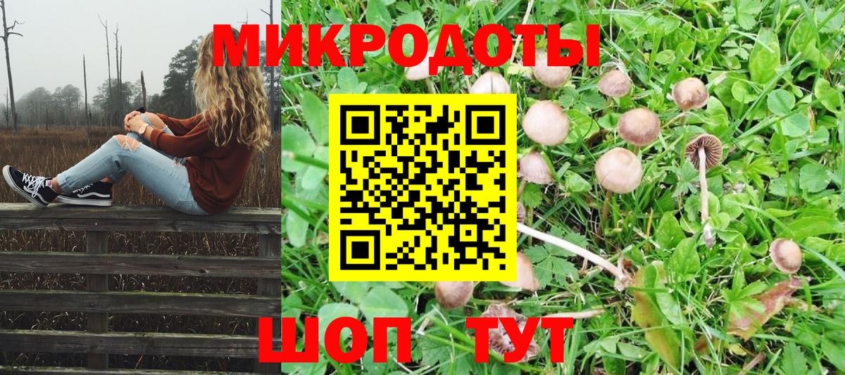 Галлюциногенные грибы Psilocybine cubensis Зеленогорск