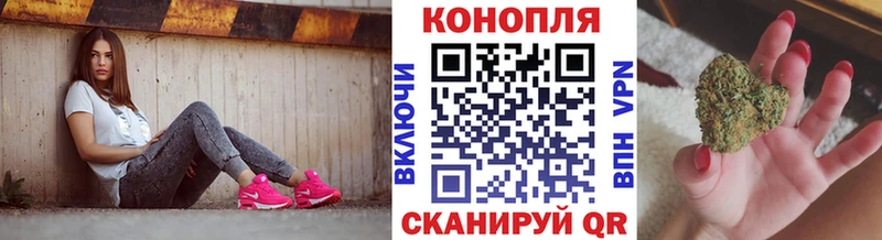 Бошки Шишки ГИДРОПОН  Зеленогорск 