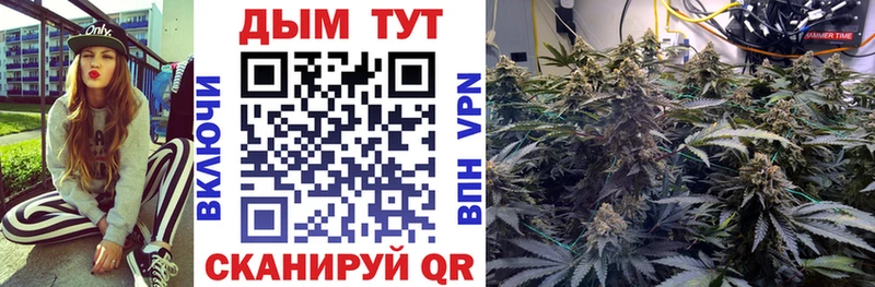 Канабис конопля Зеленогорск